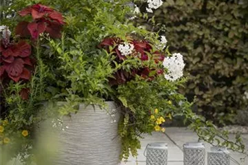 KüBEL WINTERFEST MACHEN KüBEL WINTERFEST MACHEN