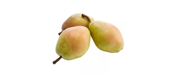 OBSTGARTEN!