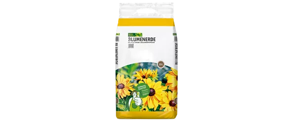 GLOCKENBLUME