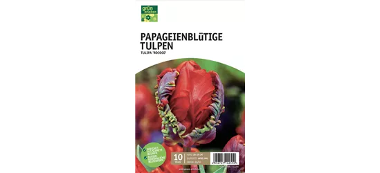 Papagei-Tulpen