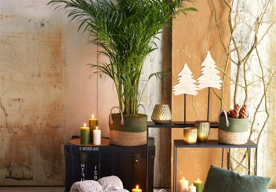 NATüRLICHE DEKO! NATüRLICHE DEKO!