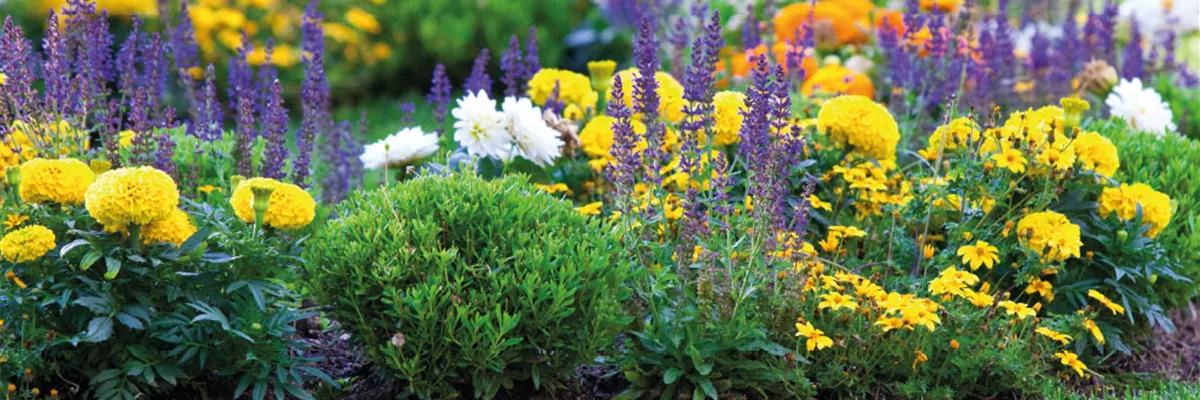 AB INS BEET! WIR FEIERN DEN TAG DES GARTENS.