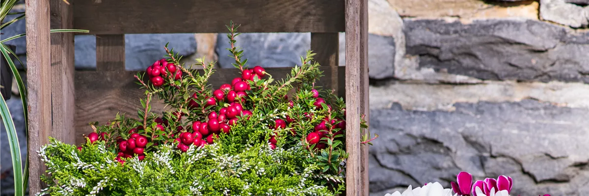 DIE FARBEN DES HERBSTES!