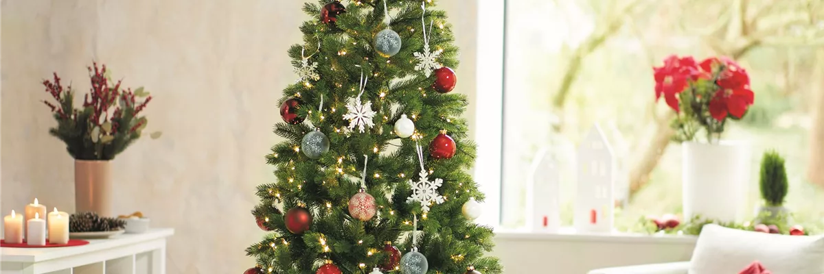 WEIHNACHTSBäUME EINMAL ANDERS!