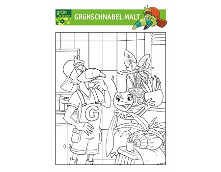 Grünschnabel Malvorlage 1 25