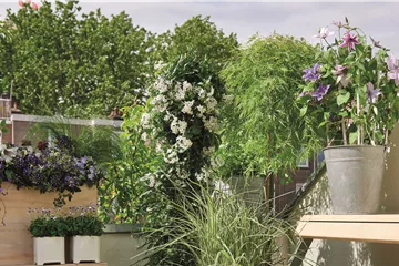 BLüHENDES MAKE OVER! 