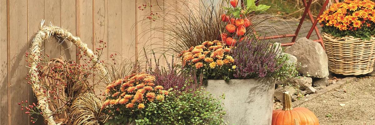 DEKORIEREN MIT STIL!