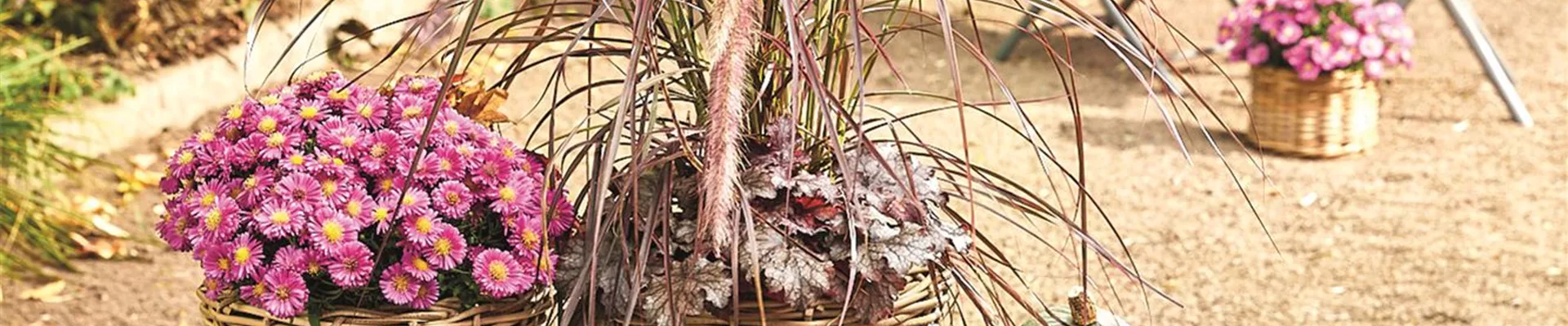 PFLANZ DIR GUTE HERBSTLAUNE!