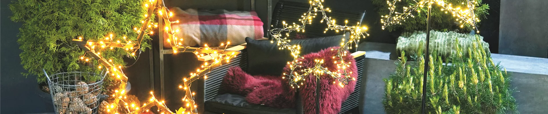 LICHTBLICKE IM WINTER-GARTEN!