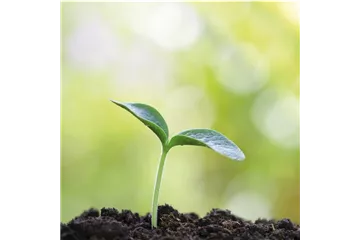 GENUSSGARTEN! GENUSSGARTEN!